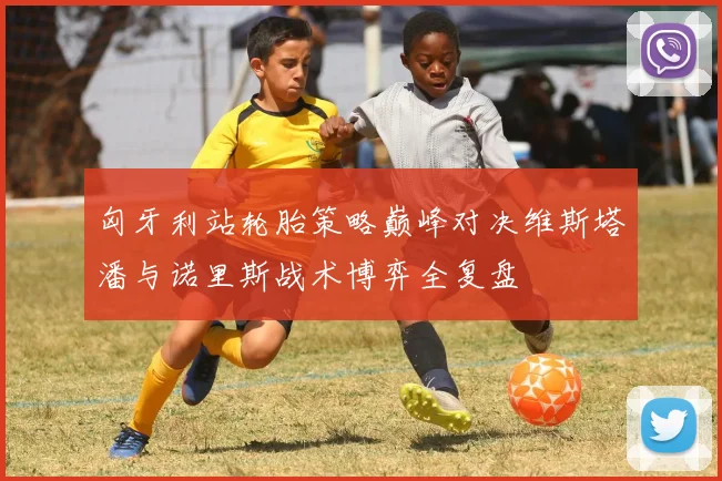 匈牙利站轮胎策略巅峰对决维斯塔潘与诺里斯战术博弈全复盘