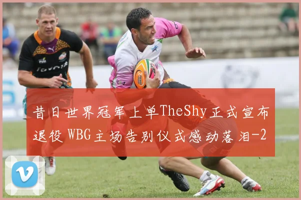 昔日世界冠军上单TheShy正式宣布退役 WBG主场告别仪式感动落泪