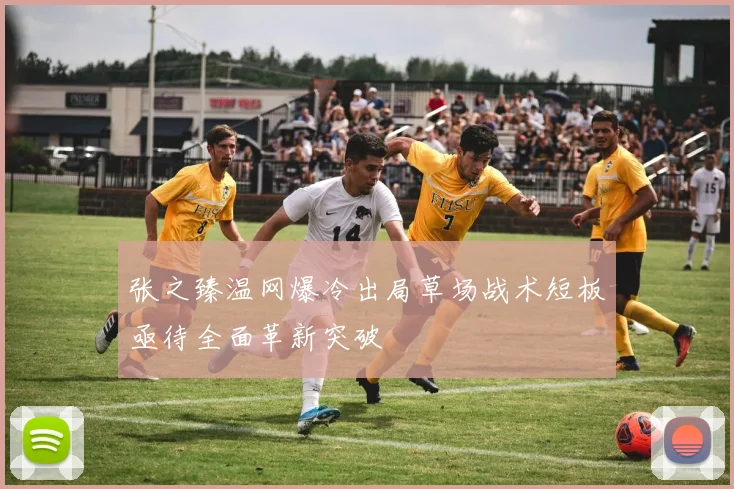 张之臻温网爆冷出局草场战术短板亟待全面革新突破
