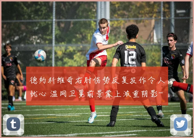 德约科维奇右肘伤势反复发作令人忧心 温网卫冕前景蒙上浓重阴影